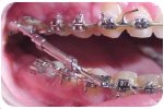 Copyright Dr Larry Brown